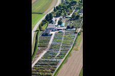Glasdach- Flächen in den Gewächshausreihen zur Blumenzucht von Gartenzeiten Schwarz im Ortsteil Bodersweier in Kehl im Bundesland Baden-Württemberg, Deutschland