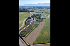 Schrägluftbild von Gartenzeiten Schwarz im Ortsteil Bodersweier in Kehl im Bundesland Baden-Württemberg, Deutschland