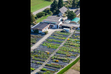 Gartenzeiten Schwarz im Ortsteil Bodersweier in Kehl im Bundesland Baden-Württemberg, Deutschland von oben