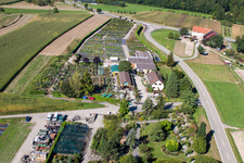 Luftbild von Glasdach- Flächen in den Gewächshausreihen zur Blumenzucht von Gartenzeiten Schwarz im Ortsteil Bodersweier in Kehl im Bundesland Baden-Württemberg, Deutschland