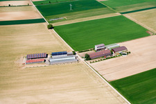 Kandel Aussiedlerhof am Höhenweg im Bundesland Rheinland-Pfalz, Deutschland