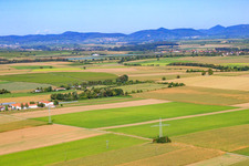 Schossberghof von Osten in Minfeld im Bundesland Rheinland-Pfalz, Deutschland