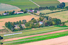 Filtierschule Zimek, Hundepension in Minfeld im Bundesland Rheinland-Pfalz, Deutschland