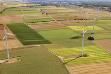 Luftaufnahme von Windkraftanlagen des Windpark Minfeld im Bundesland Rheinland-Pfalz, Deutschland