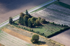 Grabreihen auf dem Gelände des Jüdischen Friedhof Rülzheim in Rülzheim im Bundesland Rheinland-Pfalz, Deutschland