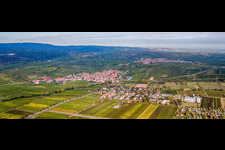 Panorama der Dorf - Ansicht am Rande von Weinbergen am Haardtrand in Kallstadt im Bundesland Rheinland-Pfalz, Deutschland
