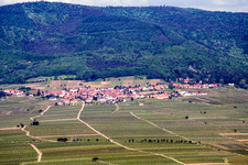 Ort in den Weinbergen von Osten in Weyher in der Pfalz im Bundesland Rheinland-Pfalz, Deutschland