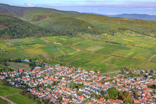 Weinlage Deidesheimer Maushöhle und Hohenmorgen im Bundesland Rheinland-Pfalz, Deutschland