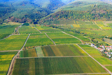 Weinlage Rupperstberger Reiterpfad in Ruppertsberg im Bundesland Rheinland-Pfalz, Deutschland