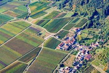 Andergasse im Ortsteil Diedesfeld in Neustadt an der Weinstraße im Bundesland Rheinland-Pfalz, Deutschland
