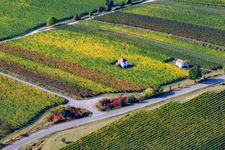 Wingerthäusle in Edenkoben im Bundesland Rheinland-Pfalz, Deutschland