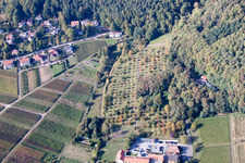 Alte Rebschule in Rhodt unter Rietburg im Bundesland Rheinland-Pfalz, Deutschland