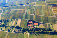 Tennisclub Modenbachtal in Hainfeld im Bundesland Rheinland-Pfalz, Deutschland