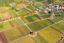 Michaelskapelle im Wingert in Weyher in der Pfalz im Bundesland Rheinland-Pfalz, Deutschland aus der Luft