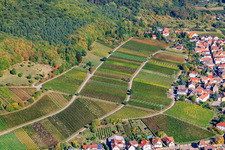 Luftbild von Weinberge am Haardtrand in Weyher in der Pfalz im Bundesland Rheinland-Pfalz, Deutschland