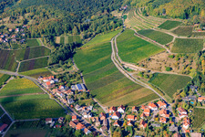 Luftbild von St.-Anna-Straße in Burrweiler im Bundesland Rheinland-Pfalz, Deutschland