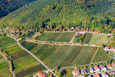 Haardtrand-Faulenberg in Gleisweiler im Bundesland Rheinland-Pfalz, Deutschland