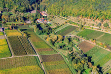 Am Hainbach in Gleisweiler im Bundesland Rheinland-Pfalz, Deutschland