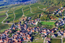Weinlage Haardtrand-Käfernberg in Frankweiler im Bundesland Rheinland-Pfalz, Deutschland