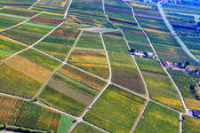 Wein- und Sektgut Marienfelder Hof in Siebeldingen im Bundesland Rheinland-Pfalz, Deutschland