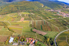 Schrägluftbild von BFA-Geilweilerhof (Rebforschungsanstalt) JKI Institut in Siebeldingen im Bundesland Rheinland-Pfalz, Deutschland