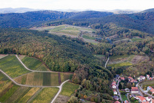 Haardtrand mit Weinlagen Gottesacker und Wolfsteig im Ortsteil Pleisweiler in Pleisweiler-Oberhofen im Bundesland Rheinland-Pfalz, Deutschland