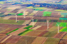 Windpark Minfeld im Bundesland Rheinland-Pfalz, Deutschland vom Flugzeug aus