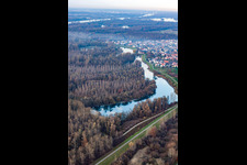 Luftbild von Altrhein im Ortsteil Plittersdorf in Rastatt im Bundesland Baden-Württemberg, Deutschland