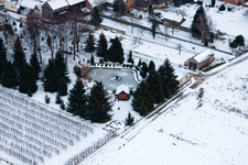 Ziergarten in Erlenbach bei Kandel im Bundesland Rheinland-Pfalz, Deutschland