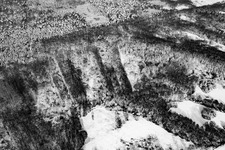 Verschneite Lichtungen der ehemaligen Jockgrimer Tongruben im Winterwald am Schmerbach im Bundesland Rheinland-Pfalz, Deutschland