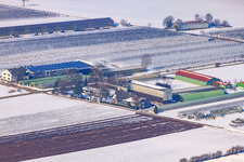 Zapf Hofmarkt im Winter bei Schnee in Kandel im Bundesland Rheinland-Pfalz, Deutschland