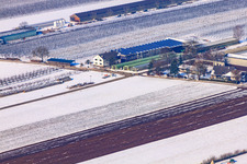 Luftbild von Zapf Hofmarkt im Winter bei Schnee in Kandel im Bundesland Rheinland-Pfalz, Deutschland