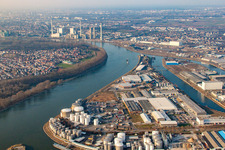Rheinauhafen in Mannheim im Bundesland Baden-Württemberg, Deutschland aus der Vogelperspektive