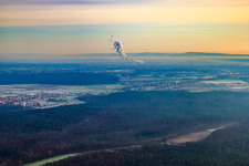 Wald zw. Hatzenbühl/Rheinzabern im Bundesland Rheinland-Pfalz, Deutschland