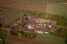 Luftbild von Wolfswiesenhof in Au am Rhein im Bundesland Baden-Württemberg, Deutschland
