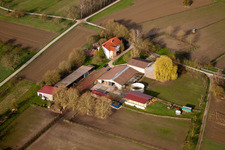 Pferdepension Renz in Au am Rhein im Bundesland Baden-Württemberg, Deutschland