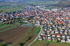 Feldstr in Au am Rhein im Bundesland Baden-Württemberg, Deutschland