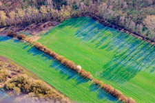 Acker am Tieflachgraben in Elchesheim-Illingen im Bundesland Baden-Württemberg, Deutschland