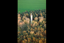 Funkturm und Sendeanlage im Wald in Jüterbog im Bundesland Brandenburg, Deutschland