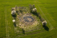 Teich im Feld im Ortsteil Körbitz in Niederer Fläming im Bundesland Brandenburg, Deutschland