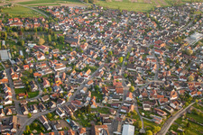 Schrägluftbild von Ortsansicht der Straßen und Häuser der Wohngebiete im Ortsteil Neuburgweier in Au am Rhein im Bundesland Baden-Württemberg, Deutschland