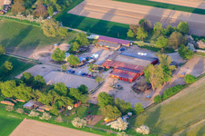 Luftbild von Pferdepension Renz in Au am Rhein im Bundesland Baden-Württemberg, Deutschland