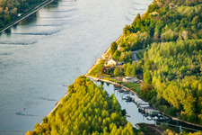 Luftbild von Auer Altrhein in Au am Rhein im Bundesland Baden-Württemberg, Deutschland