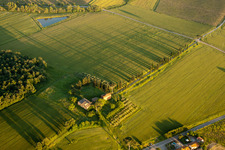 Grasflächen- Strukturen einer Feld- Landschaft mit langen Schatten der Zypressenallee des alten Gehöfts Az. Agr. San Luciano in Monte San Savino im Bundesland Arezzo, Italien
