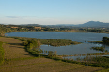 Pozzuolo- Lago die Montalcino (Umbrien) im Bundesland Umbria, Italien