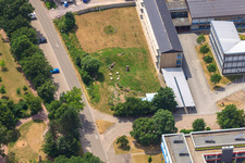 Luftaufnahme von IGS-Schulgarten in Kandel im Bundesland Rheinland-Pfalz, Deutschland