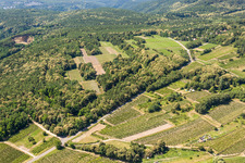 Weinberge in Kallstadt im Bundesland Rheinland-Pfalz, Deutschland