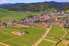 TuS 1883 Wachenheim e.V in Wachenheim an der Weinstraße im Bundesland Rheinland-Pfalz, Deutschland