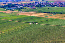 Bauwerk des Aussichtsturmes Houschder Winzerturm im Ortsteil Niederhochstadt in Hochstadt im Bundesland Rheinland-Pfalz, Deutschland