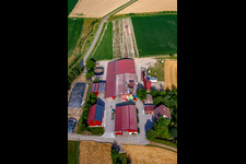 Schrägluftbild von Hansjörg Körkel & Cornelia Will-Körkel Kirschhof im Ortsteil Bodersweier in Kehl im Bundesland Baden-Württemberg, Deutschland